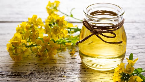 Canola Oil 