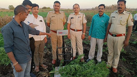 Dhule News