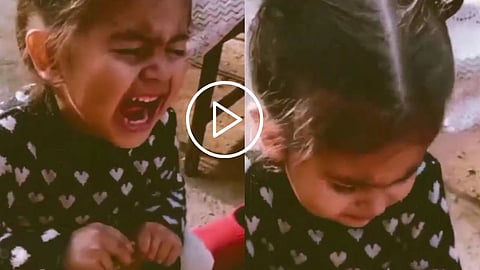 Viral Video