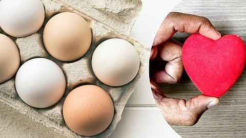 Eggs Harmful For Heart