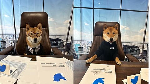 Twitter CEO