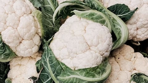 jalna, cauliflower, farmer