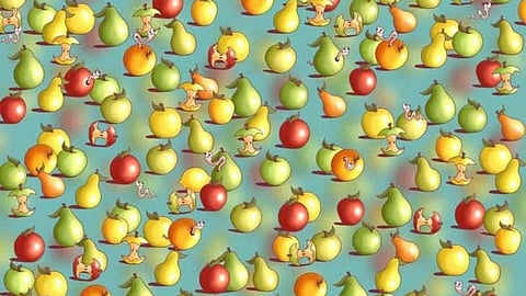 Optical Illusion
