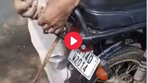 Shocking video