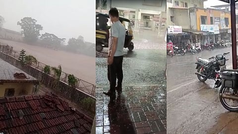 Maharashtra Unseasonal Rain