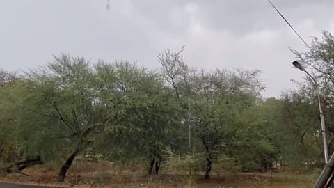 Maharashtra Weather Updates 