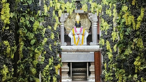 Pandharpur, Vitthal Rukmini Mandir, amalaki ekadashi, Grapes 