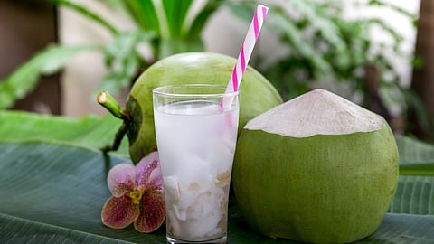 Coconut Malai 