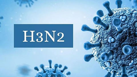 H3N2 Outbreak
