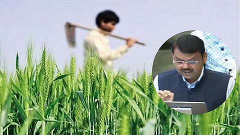 Budget for Farmer 