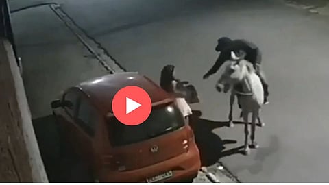 Viral Video
