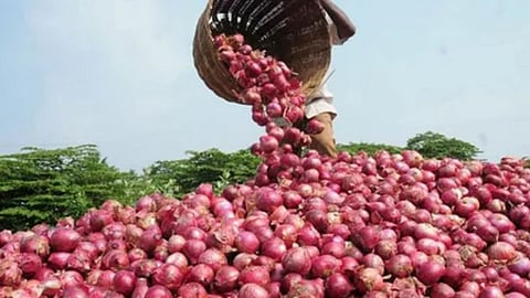Onion farmers 