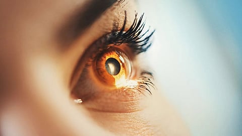 Eyesight Come Back