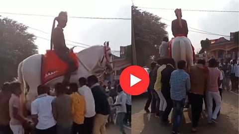 Viral Video News