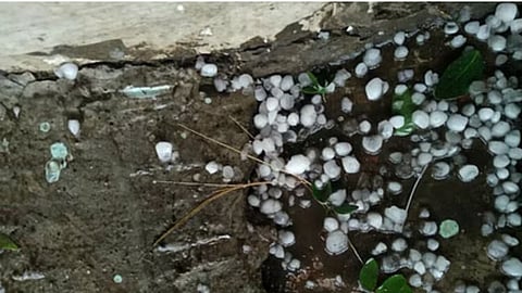 Maharashtra rain with hailstorm