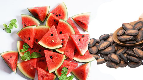 Watermelon Seeds Benefits