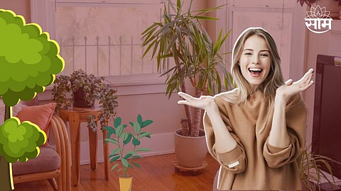 Effect Of Plants On Humans