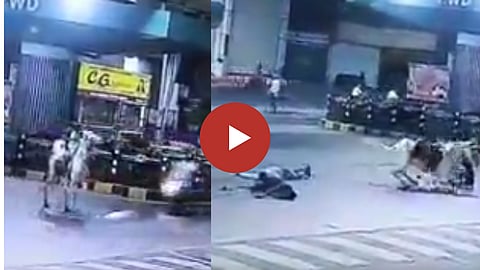 Accident Video 
