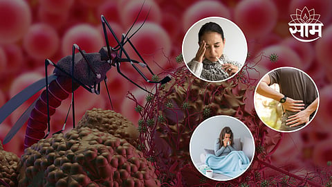 World Malaria Day 2023