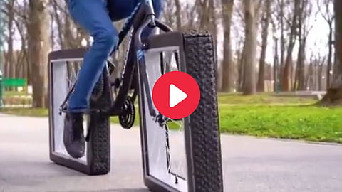 Viral Video