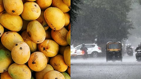 Pune Rain News