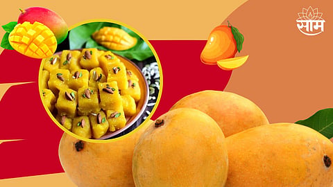 Mango Barfi Recipe 