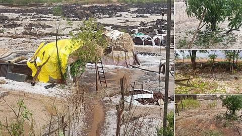 Unseasonal Heavy rain In Maharashtra