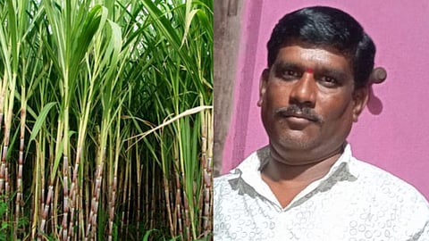 Beed Farmer News