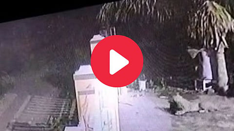 Viral Video Leopard Enters Bungalow in Manchar