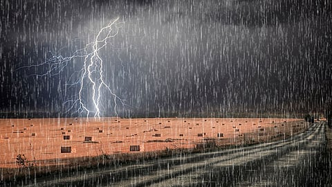 unseasonal rain, satara, solapur, kolhapur