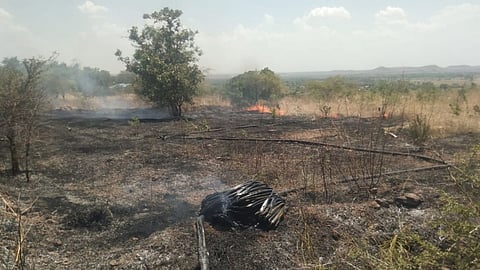 Beed Fire News