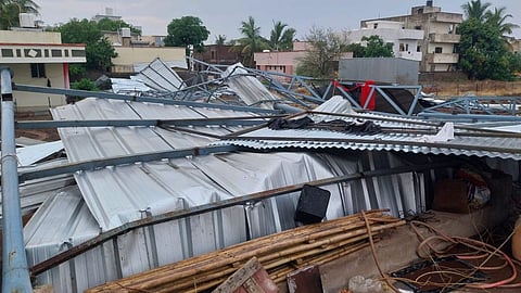Sangli rain news