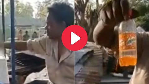 Snake Eating Video