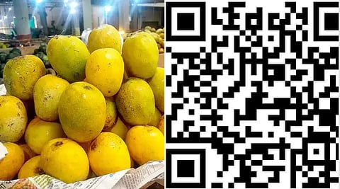 QR Code For Mango