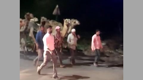 Nashik News