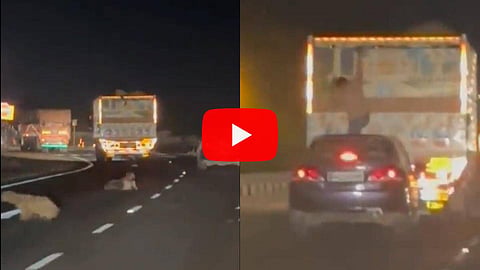 Shocking Video