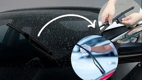 Windshield Wipers