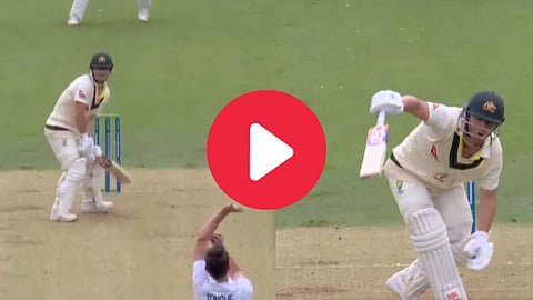 david warner wicket