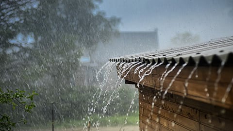 Monsoon Update News