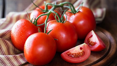 Tomato Price in Maharashtra