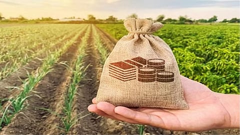 Kharif Crops Bazarbhaw