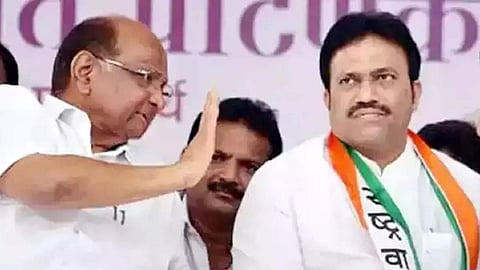 ncp leader sharad pawar, mla shashikant shinde, satara ,sangli, cm eknath shinde