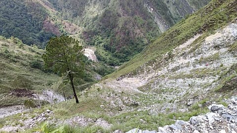Uttarakhand Jeep Accident News