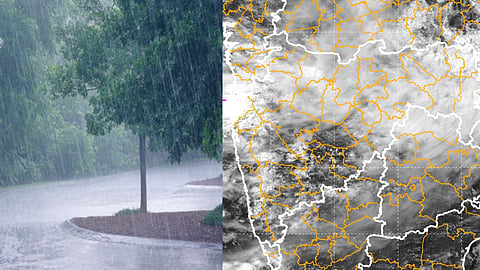 Maharashtra Rains 