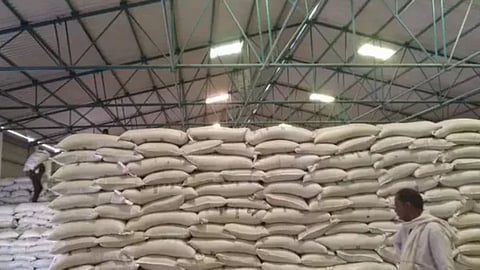 Tur and Urad Pulses Price