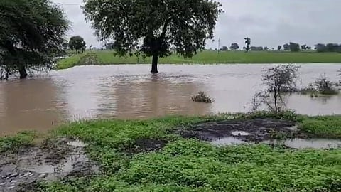Buldhana Rain News