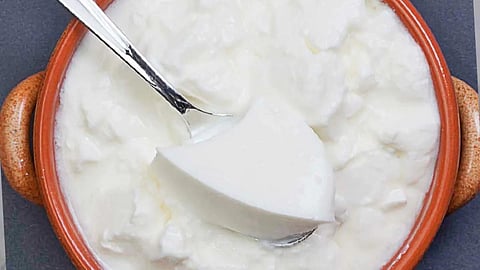 Should Not Eat Curd In Monsoon