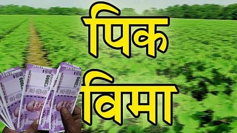 Crop Insurance