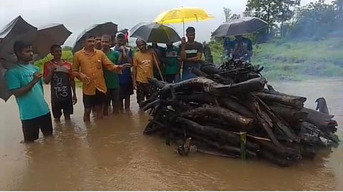 Palghar News