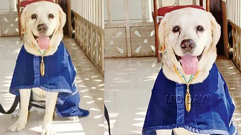 Mumbai Police Dog Sqaud